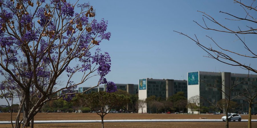 Participação feminina em cargos no governo federal mostra estagnação