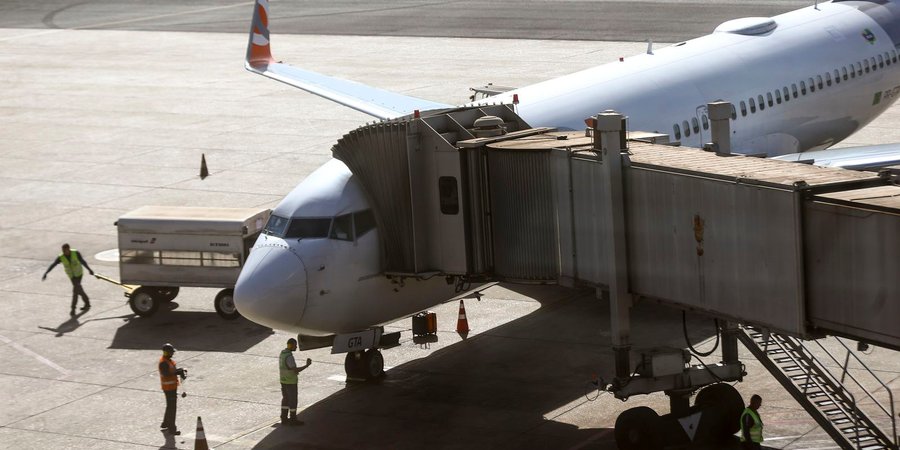 Comissão do governo vai definir regras para transporte aéreo de pets
