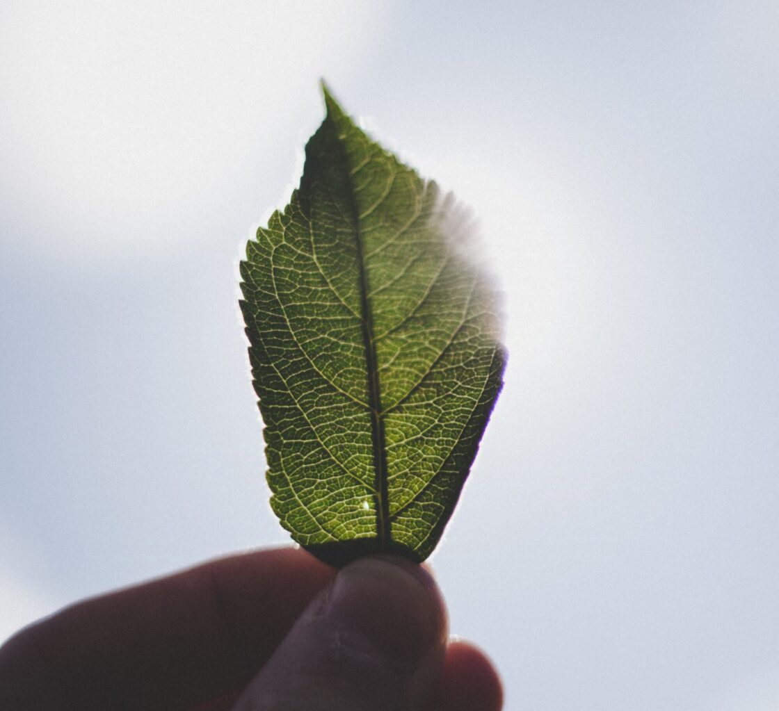 Aliança pela Inclusão Produtiva anuncia nova chamada pública focada em desenvolvimento urbano sustentável