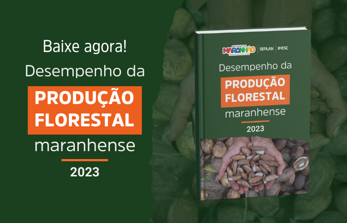 Produção florestal no Maranhão ultrapassa R$ 1 bilhão em 2023