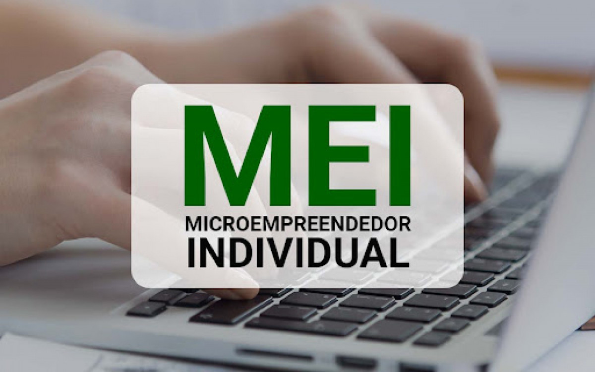 Evite problemas com o Leão: MEIs devem ficar atentos à declaração do Imposto de Renda
