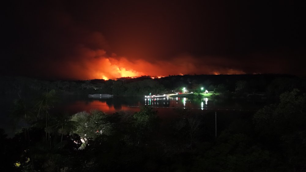 Incêndio de grandes proporções atinge área de mata às margens da PI-130, em Palmeirais
