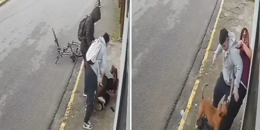 Jovem fica ferida após ser atacada por pitbull perto de escola